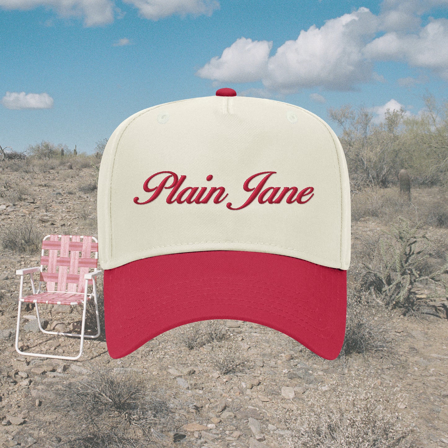 Plain Jane Hat